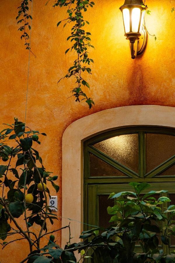 墨西哥城Casa Di Nina公寓式酒店 外观 照片
